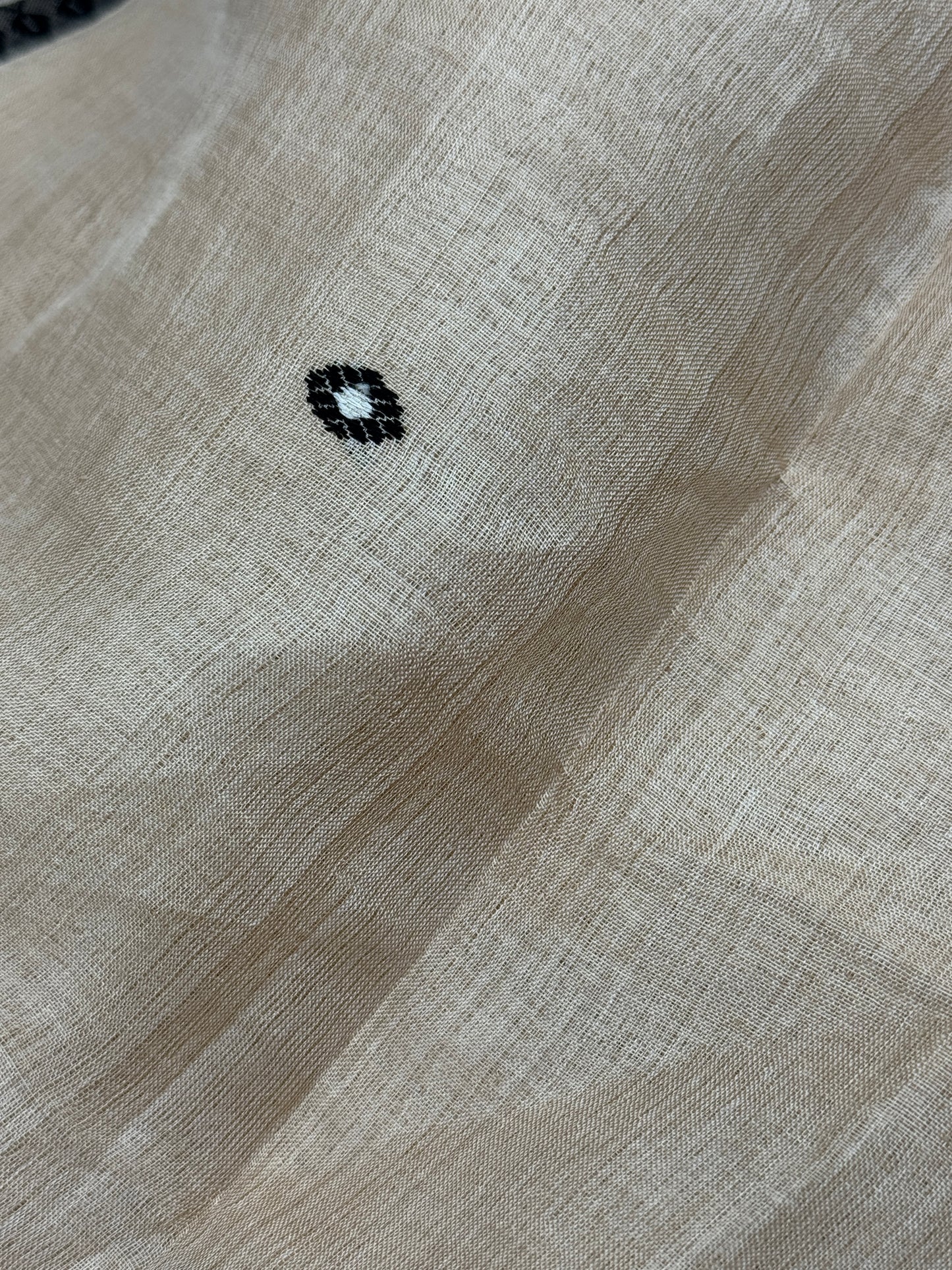 Obsidian: Beige & Black Tussar Silk Saree