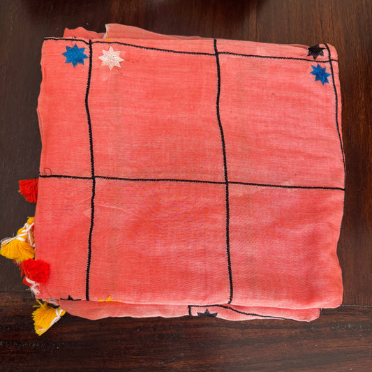 Orange Mul Cotton Saree with Embroidery