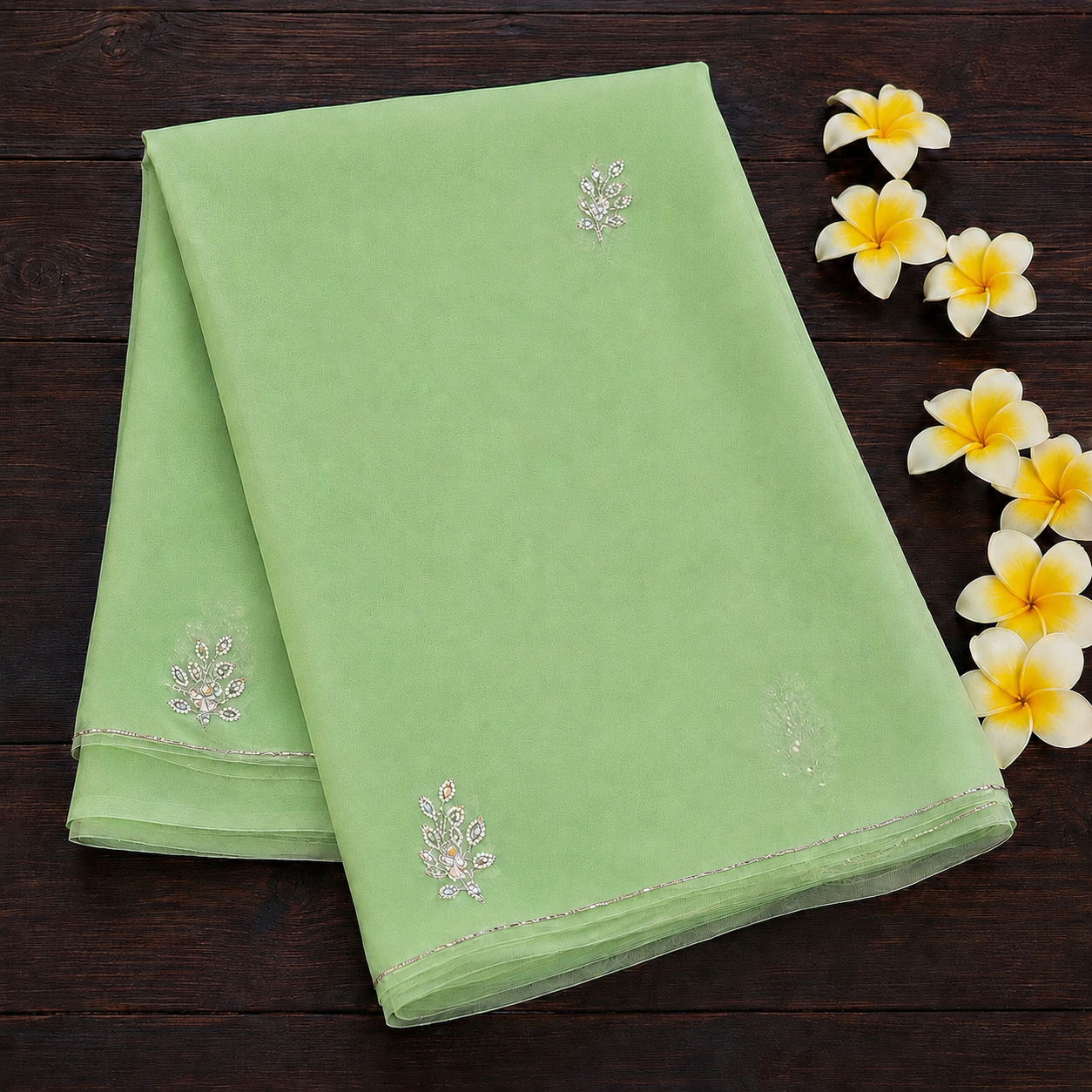 Vasudha: Green Chiffon Saree with Embroidery