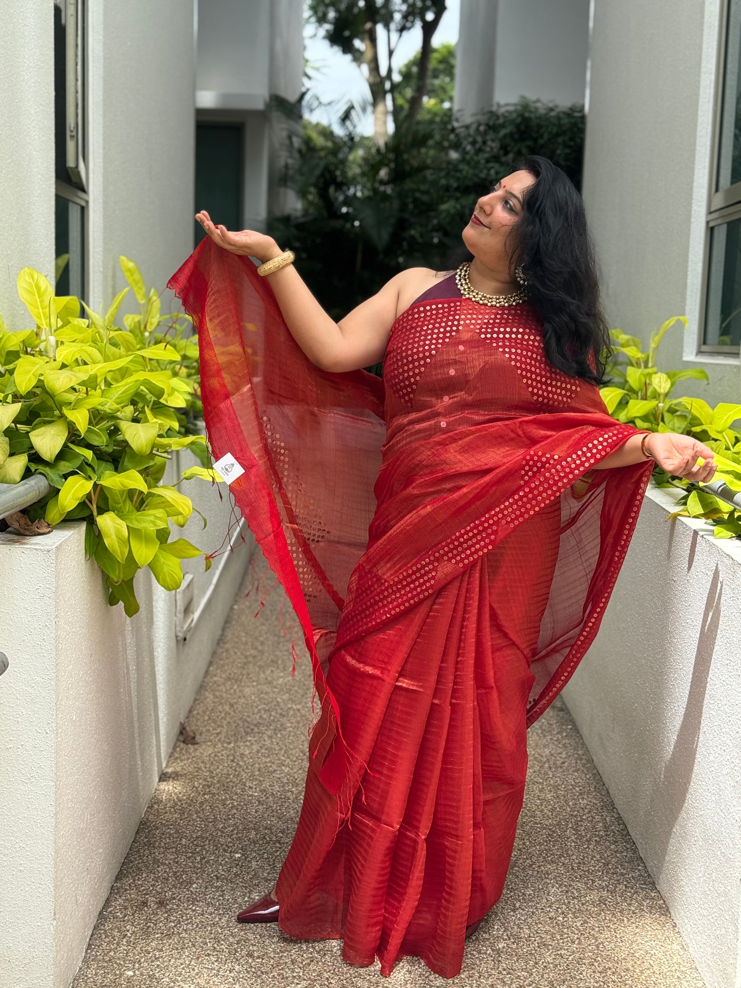 Diva: Red Tissue Handwoven Muslin Sequins Saree