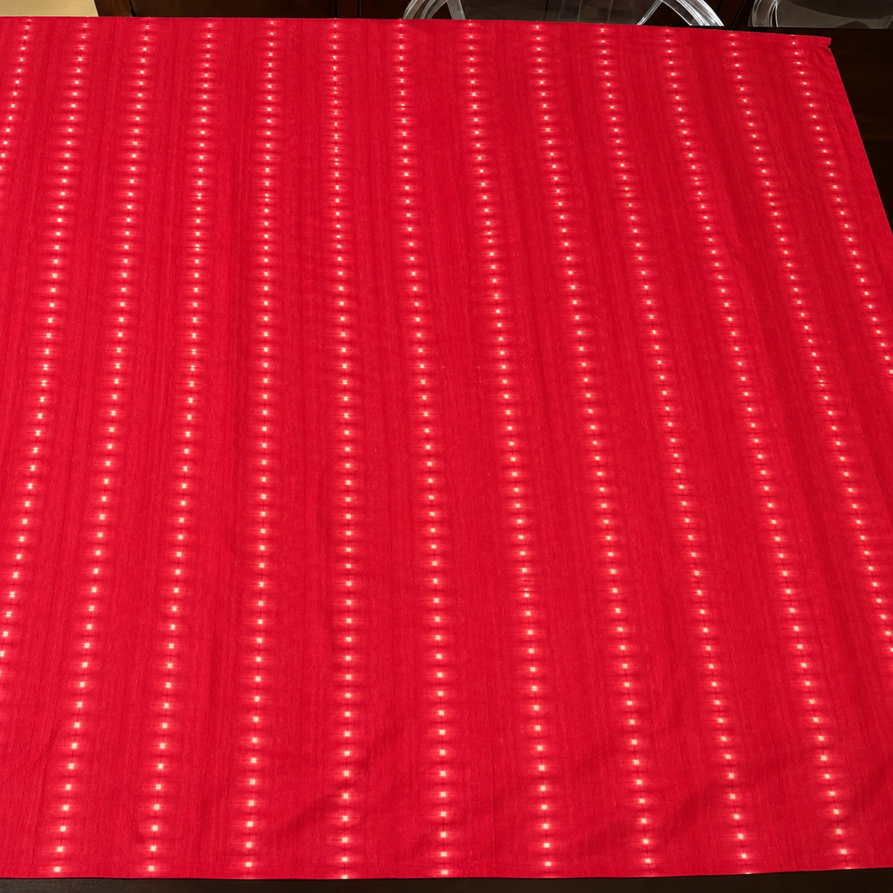Ketaki: Red Cotton Bandhni Saree