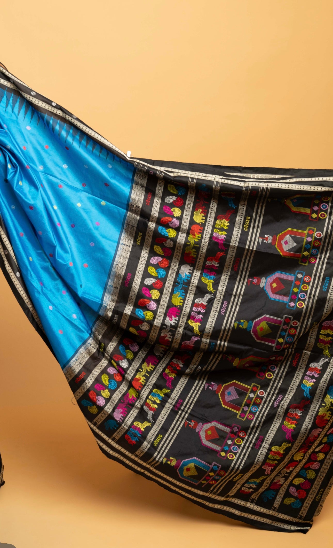 Neel Dolabedi: Blue Handwoven Dolabedi Silk Saree