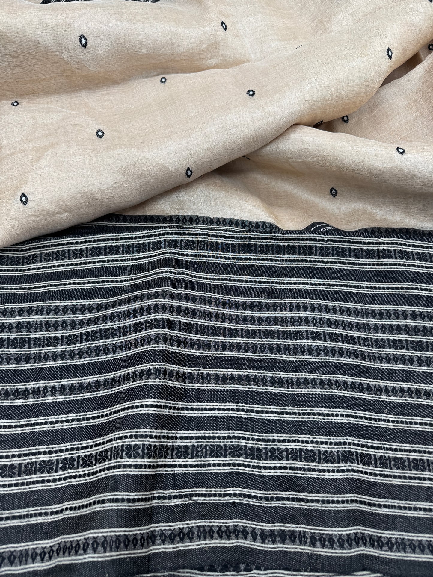 Obsidian: Beige & Black Tussar Silk Saree