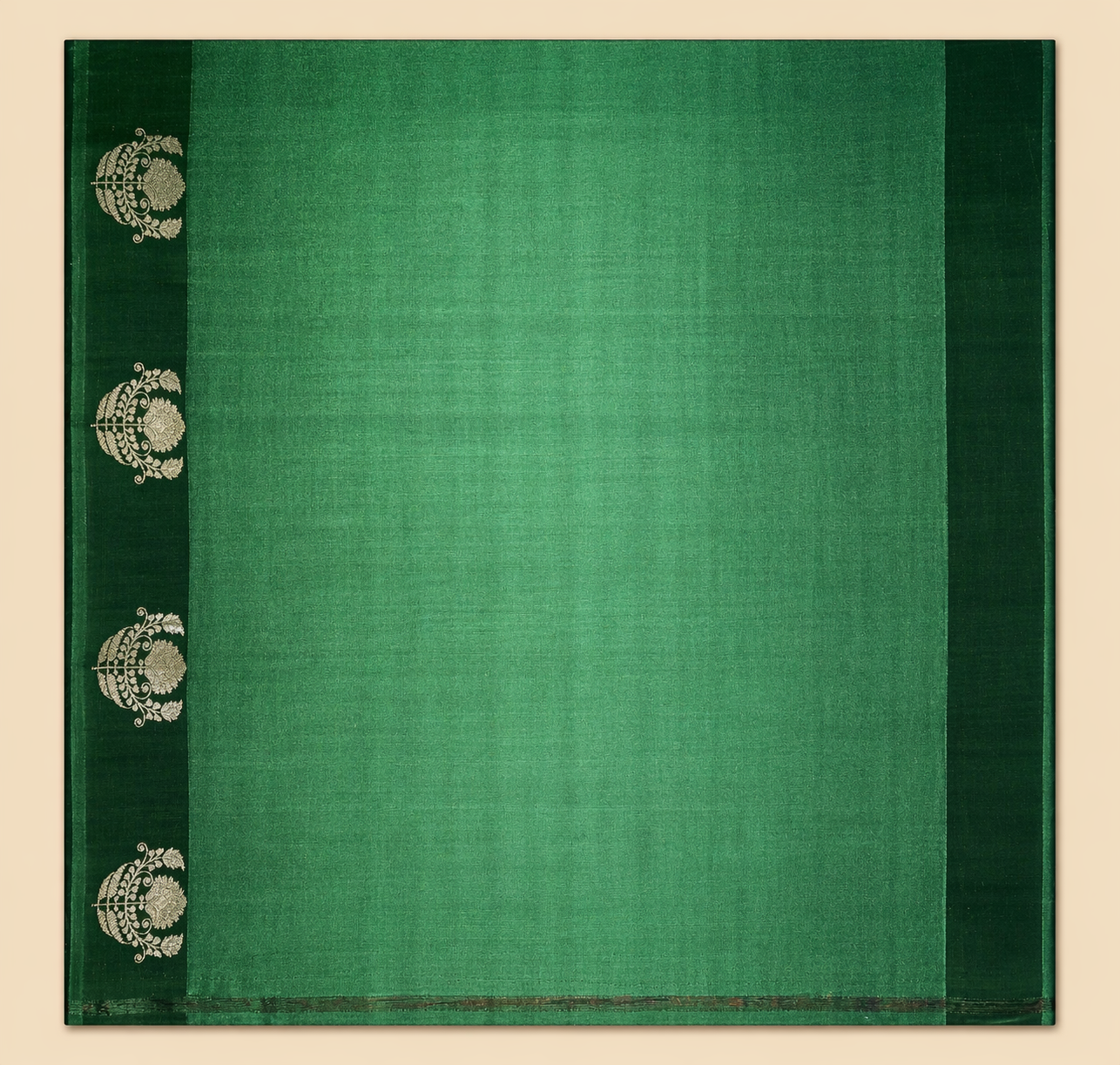 Vanya: Green Borderless Banarasi Katan Silk Saree