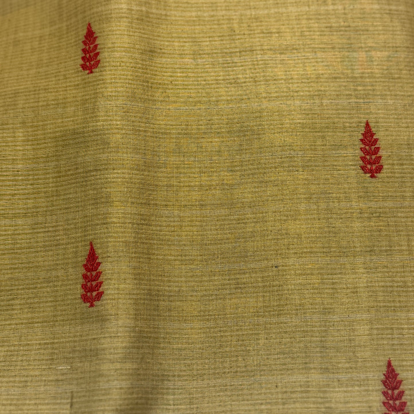 Suryalekha: Gold Tissue Silk Saree